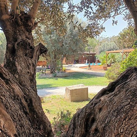 Vila Entre Viejos Olivos Benicolet Exteriér fotografie