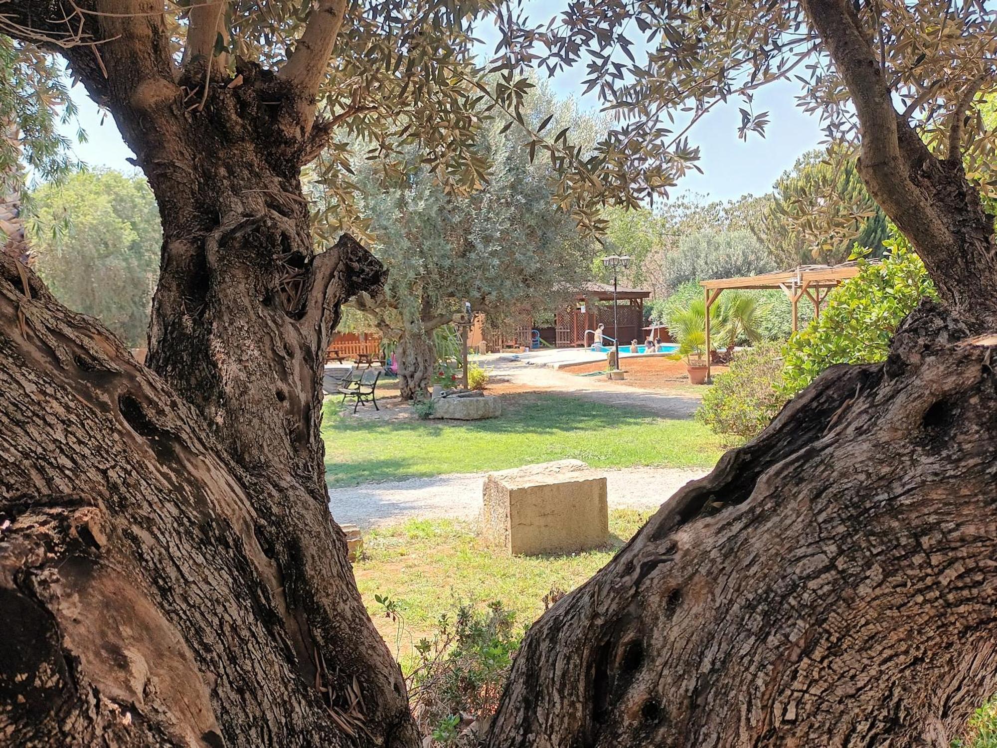 Vila Entre Viejos Olivos Benicolet Exteriér fotografie