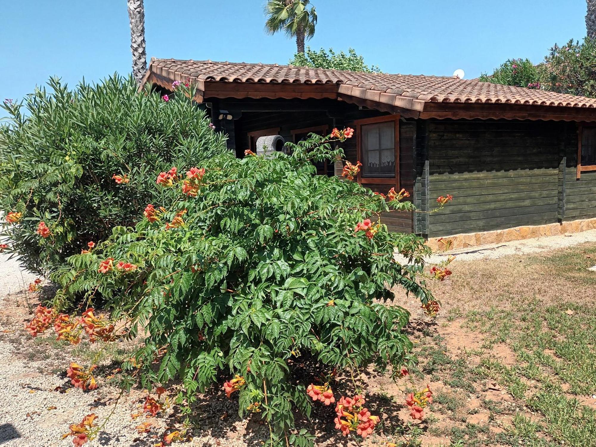 Vila Entre Viejos Olivos Benicolet Exteriér fotografie