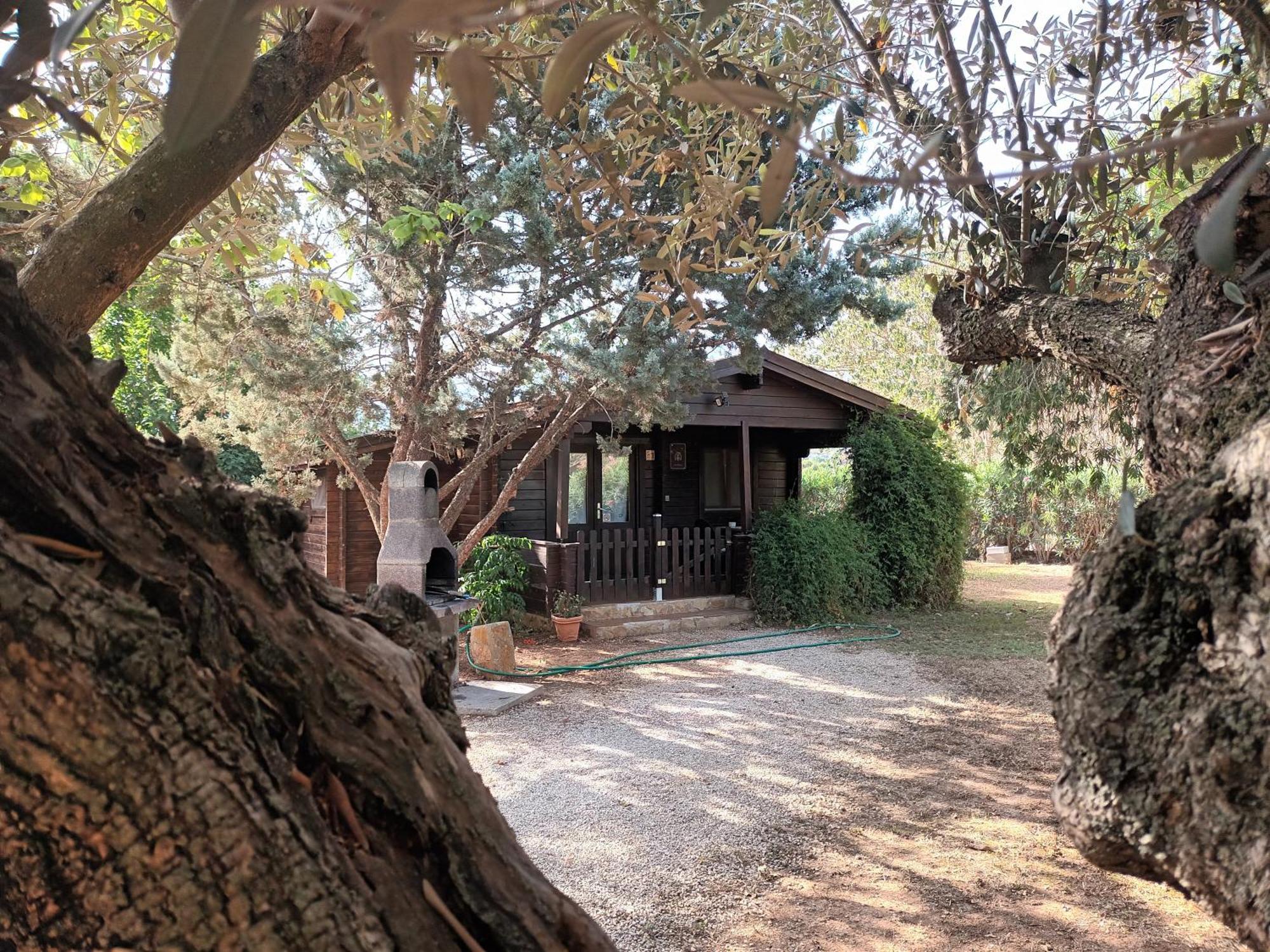 Vila Entre Viejos Olivos Benicolet Exteriér fotografie