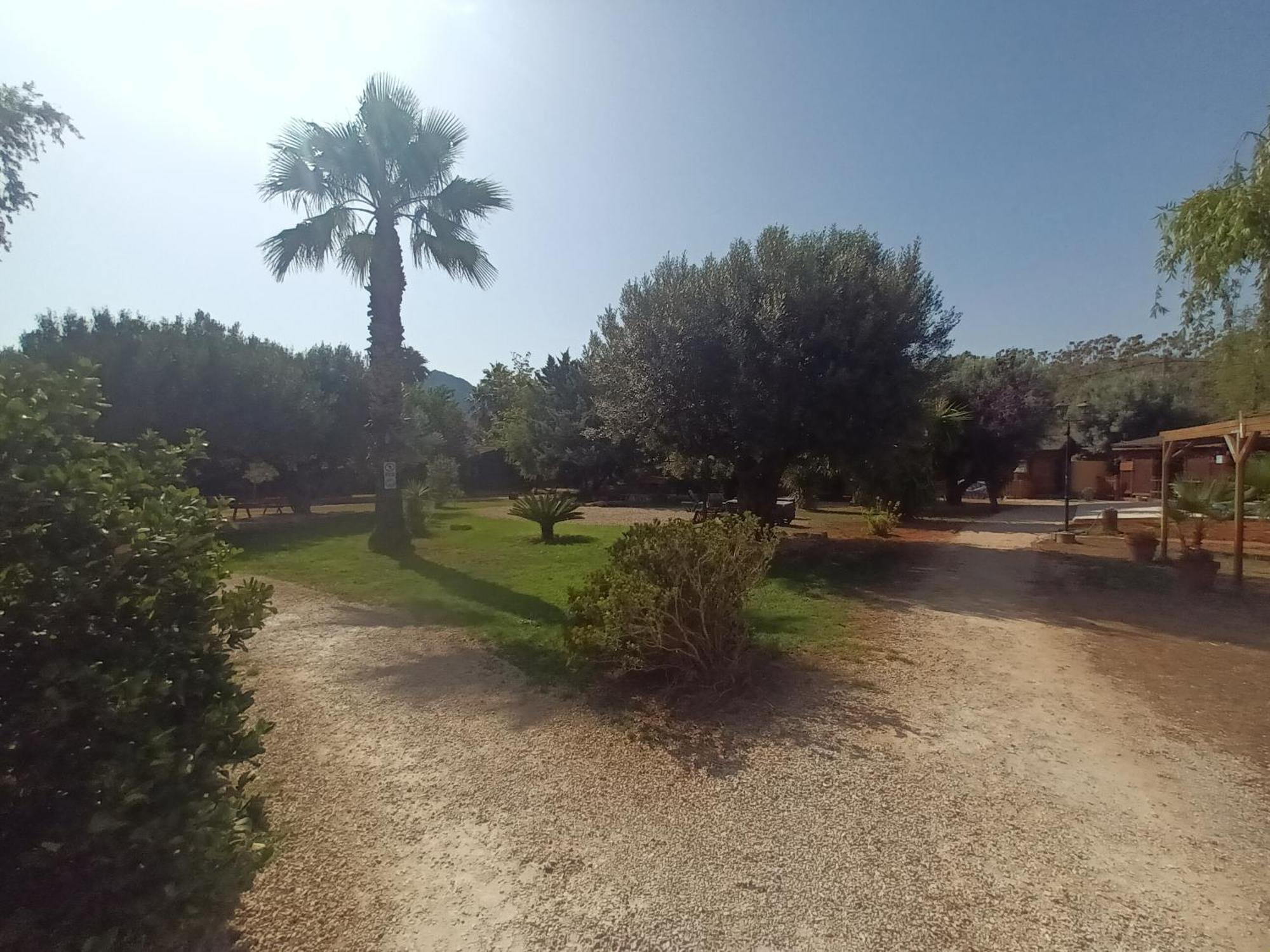 Vila Entre Viejos Olivos Benicolet Exteriér fotografie