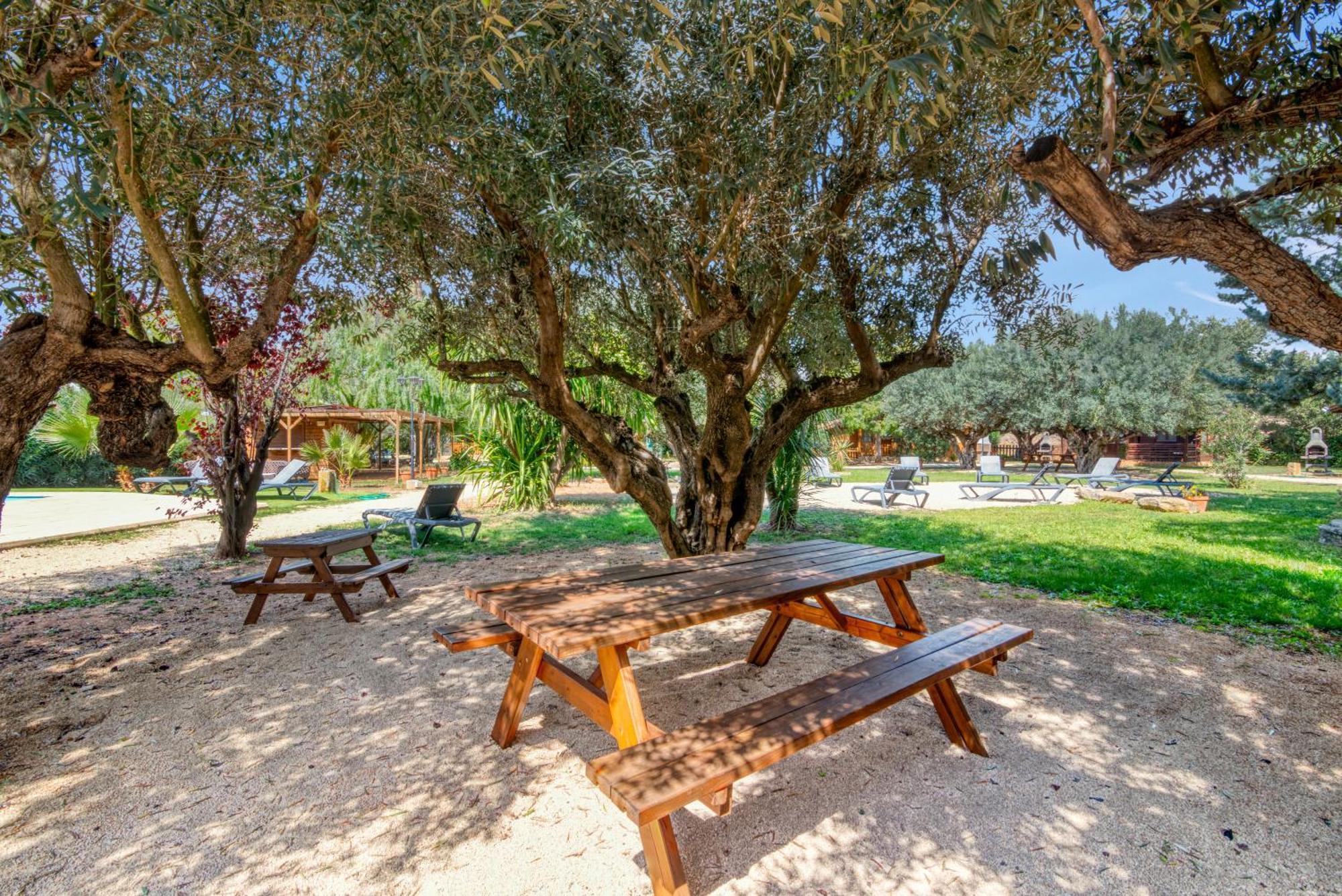Vila Entre Viejos Olivos Benicolet Exteriér fotografie